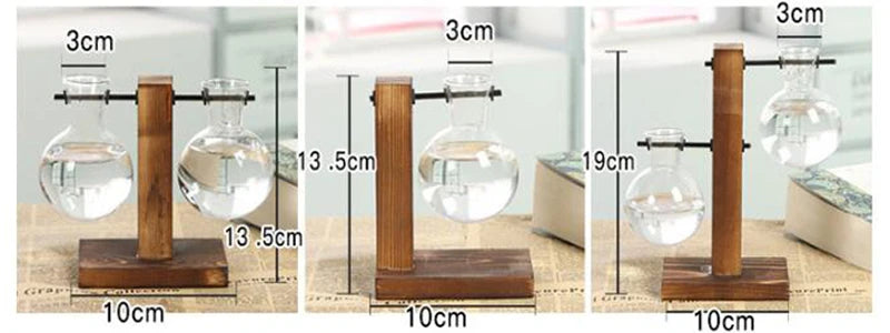 Hydroponic Plant Terrarium Vasevase Decoration Home Glass Bottle Hydroponic Desktop Decoration Office Green Plant Small Potted